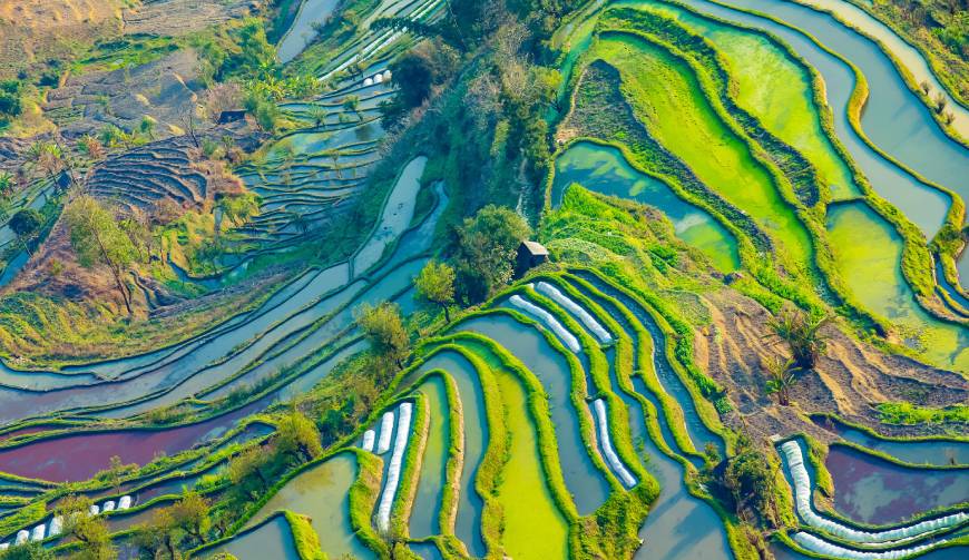 走进钦南区TVC拍摄：解锁本地化场景与创意镜头的完美融合